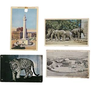 Vintage Postcard‎ Lot 4 Washington DC Monuments, White Tiger, Elephants